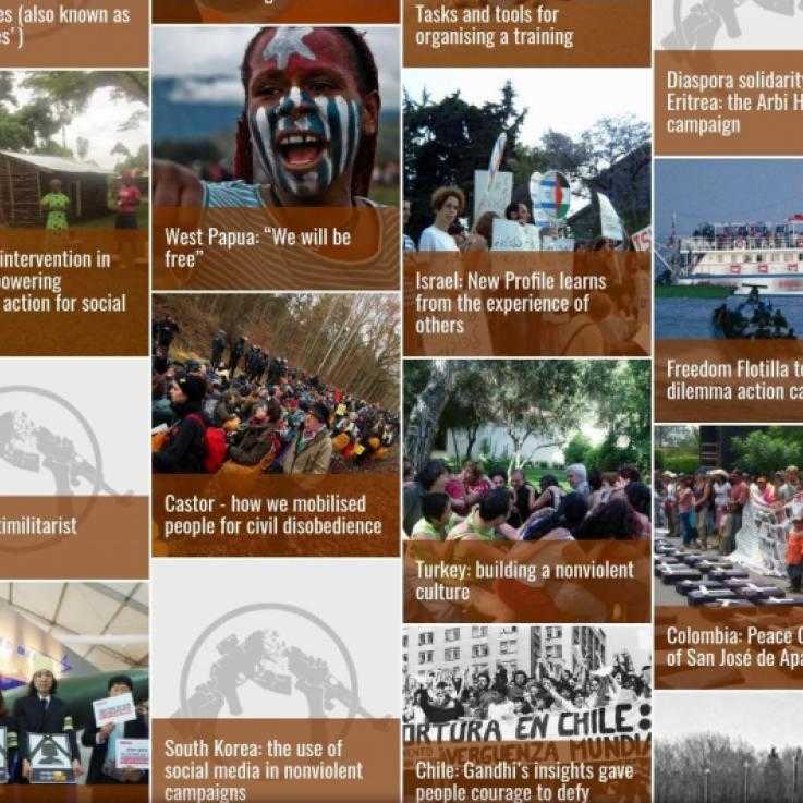 Screenshot of the Empowering Nonviolence website