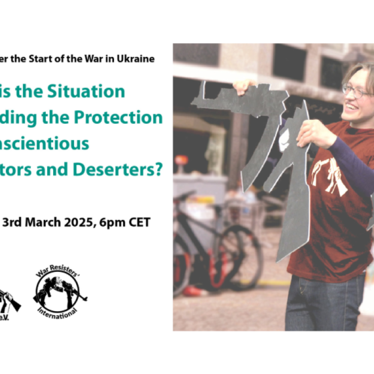 Poster for the webinar on the 3rd year of the war in Ukraine